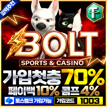 볼트카지노