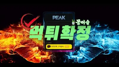 피크 193만원 먹튀